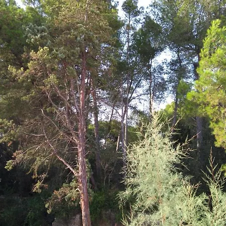 Le Dimore Di Palma Feriehus